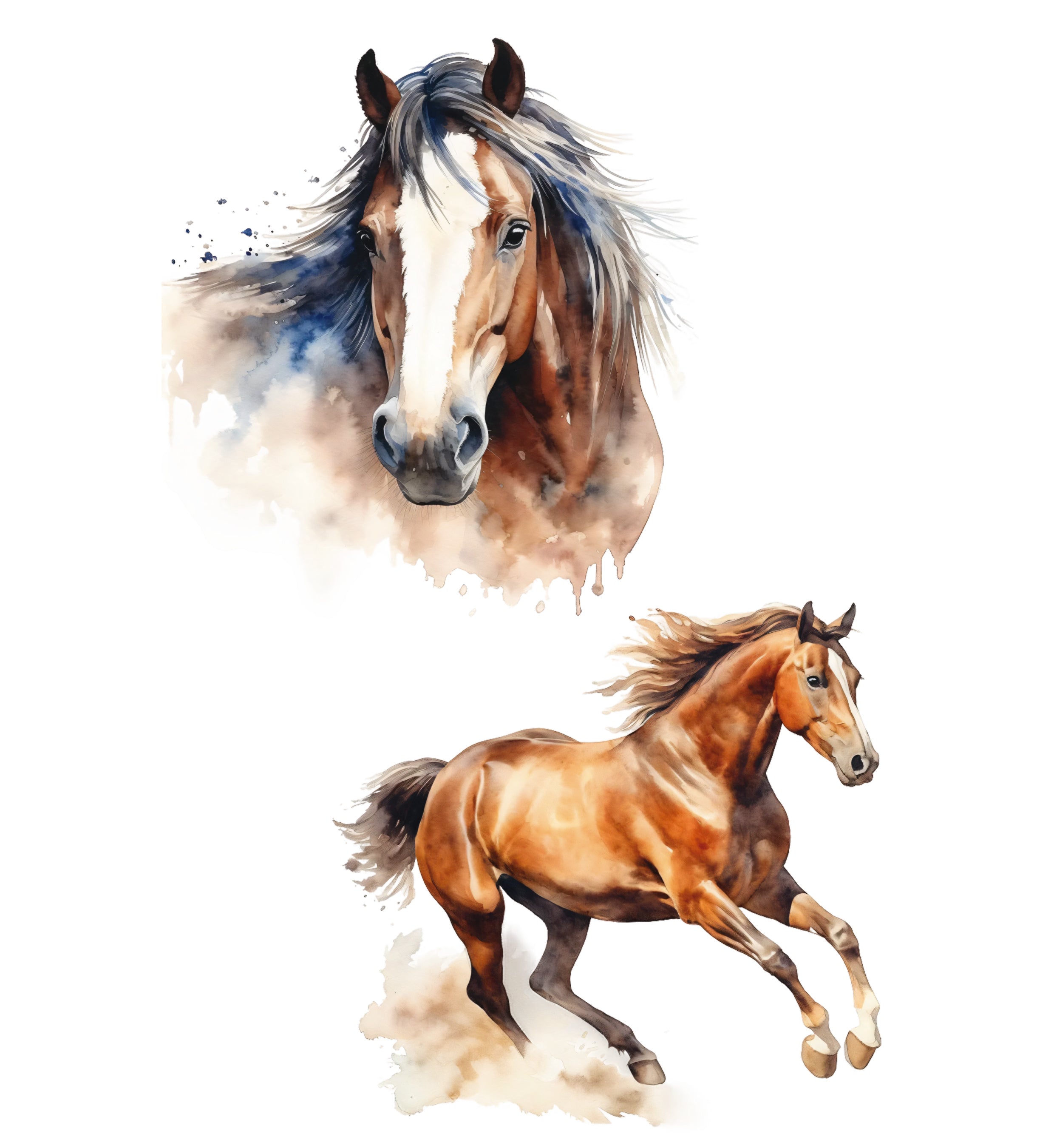 Caballo Castaño
